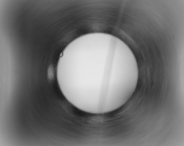 X0000095910075200802081101