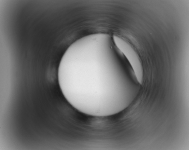 X0000095910077200802081101