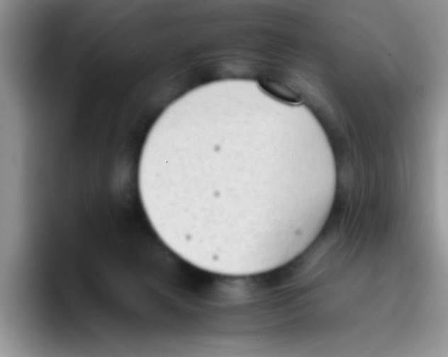 X0000095910079200802081101