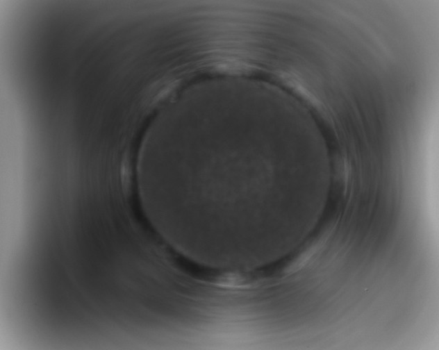 X0000095910080200802081101