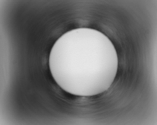 X0000095910082200802081101