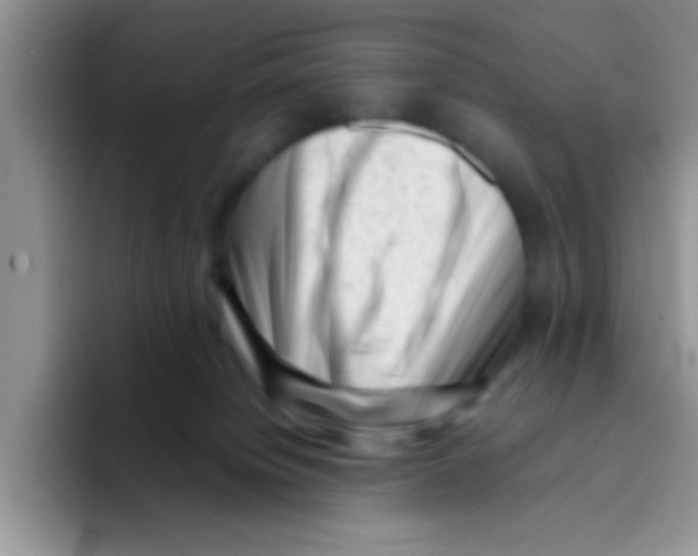 X0000095910084200802081101