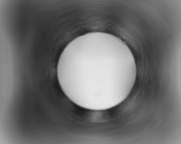 X0000095910085200802081101