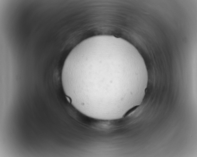 X0000095910086200802081101