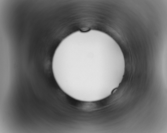 X0000095910087200802081101