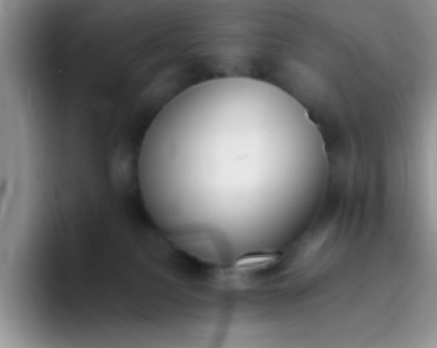 X0000095910088200802081101