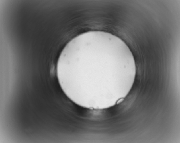 X0000095910089200802081101