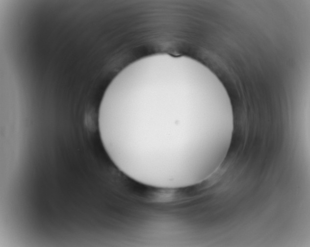 X0000095910090200802081101