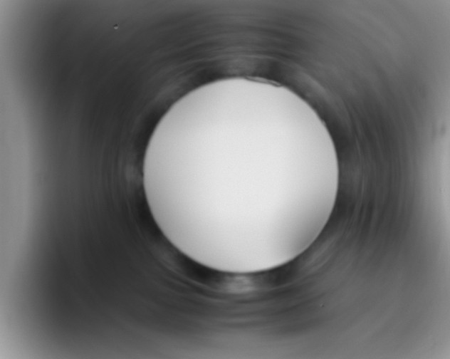 X0000095910091200802081102