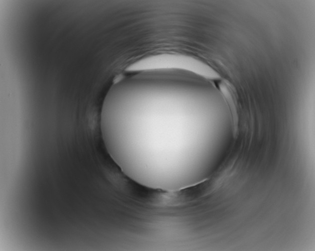 X0000095910092200802081102