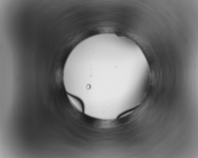 X0000095910093200802081102