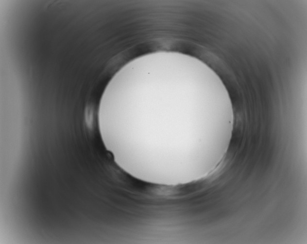 X0000095910094200802081102