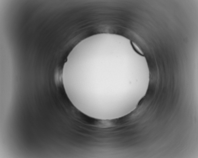 X0000095910095200802081102