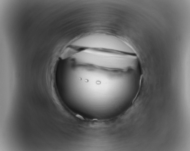 X0000095910097200802081101