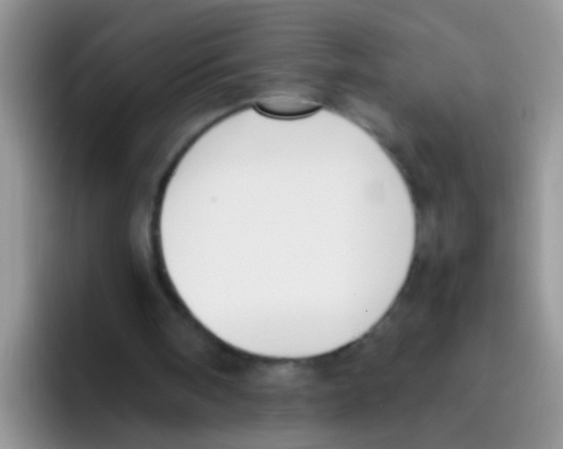 X0000095910098200802081101