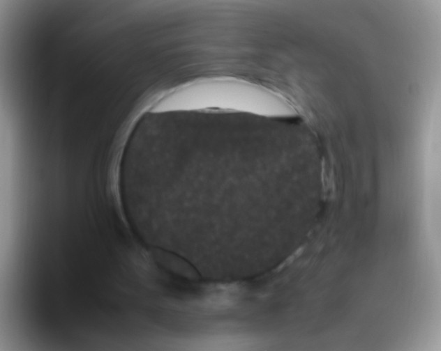 X0000095910099200802081101