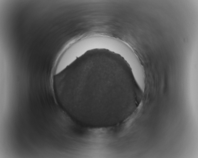 X0000095910100200802081101