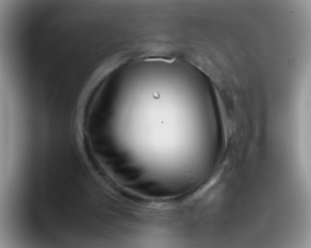 X0000095910101200802081101