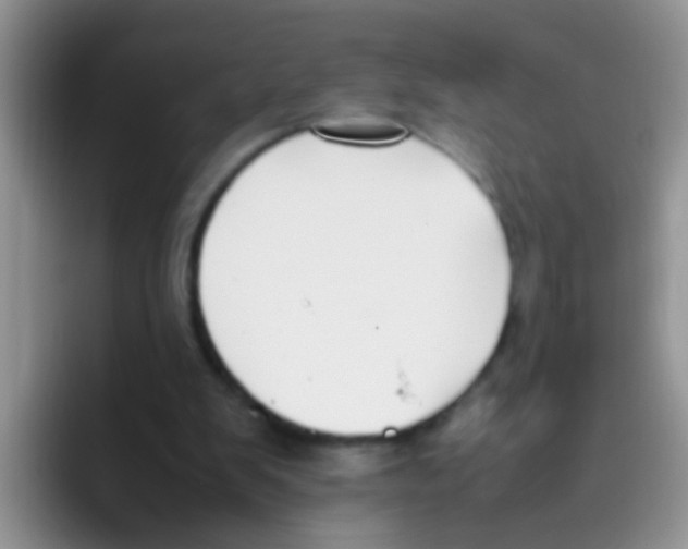 X0000095910103200802081101