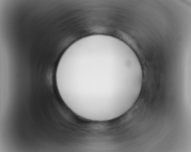 X0000095910106200802081101