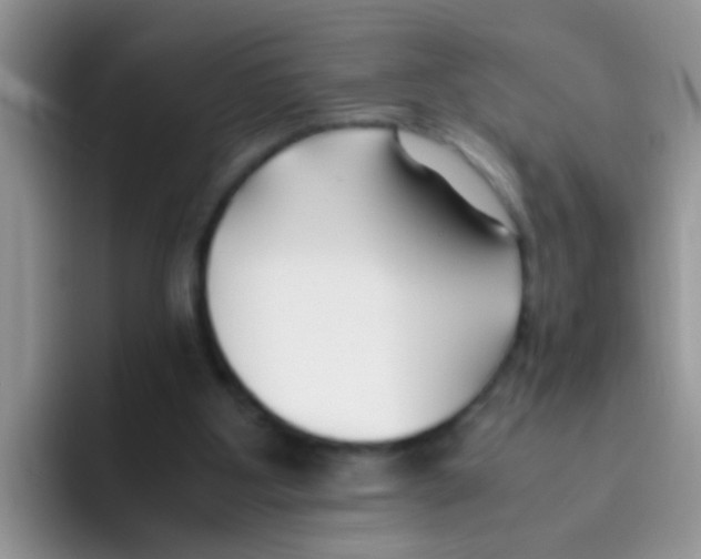 X0000095910107200802081101