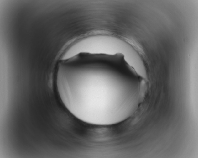 X0000095910108200802081101