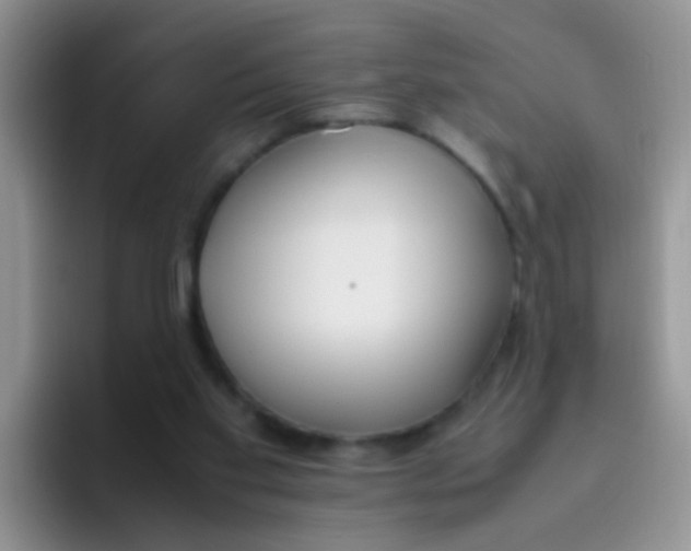 X0000095910109200802081101