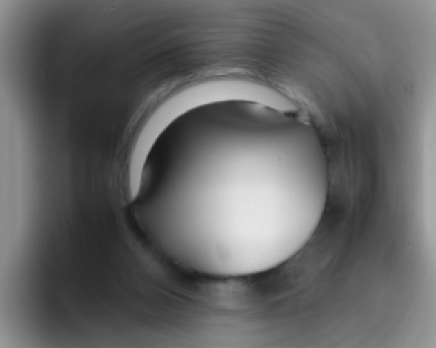 X0000095910112200802081101