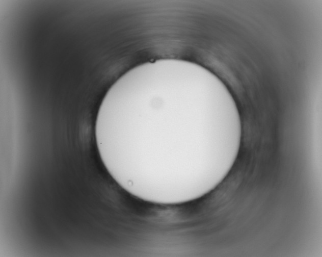 X0000095910113200802081101