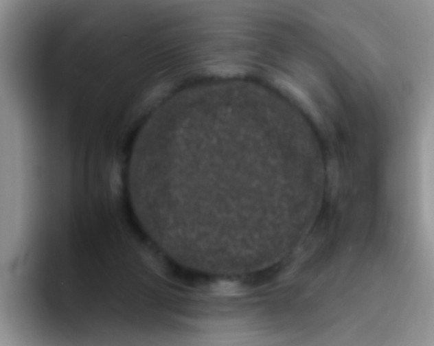 X0000095910114200802081101