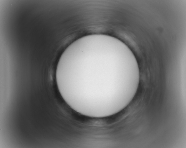 X0000095910115200802081101