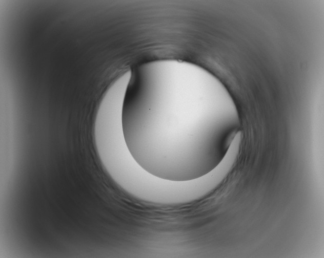 X0000095910117200802081101