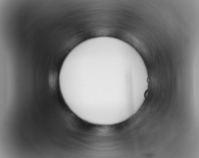 X0000095910118200802081101