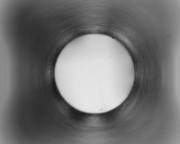 X0000095910119200802081101