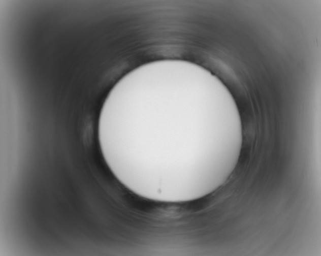 X0000095910120200802081101