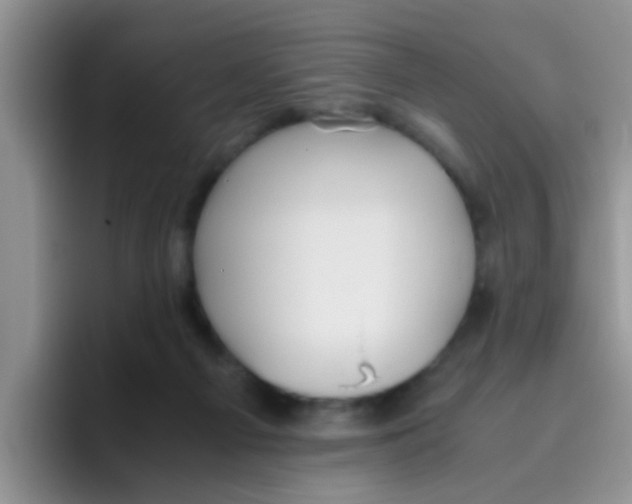 X0000095910121200802081101