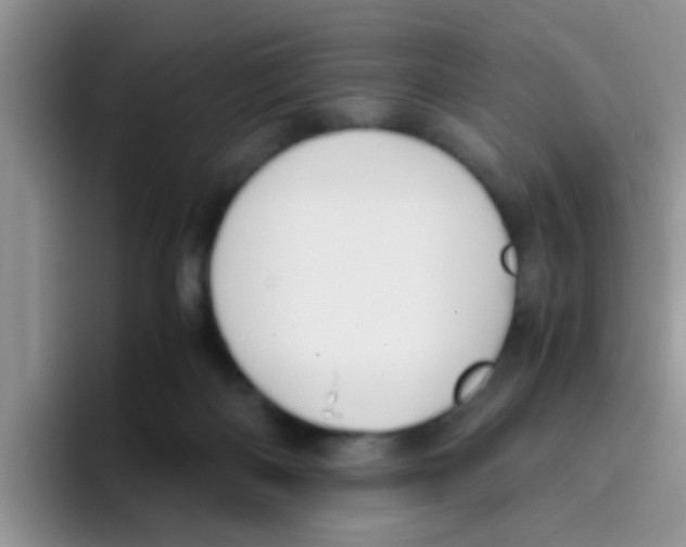 X0000095910122200802081101