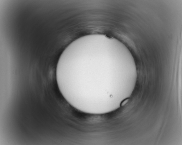 X0000095910123200802081101