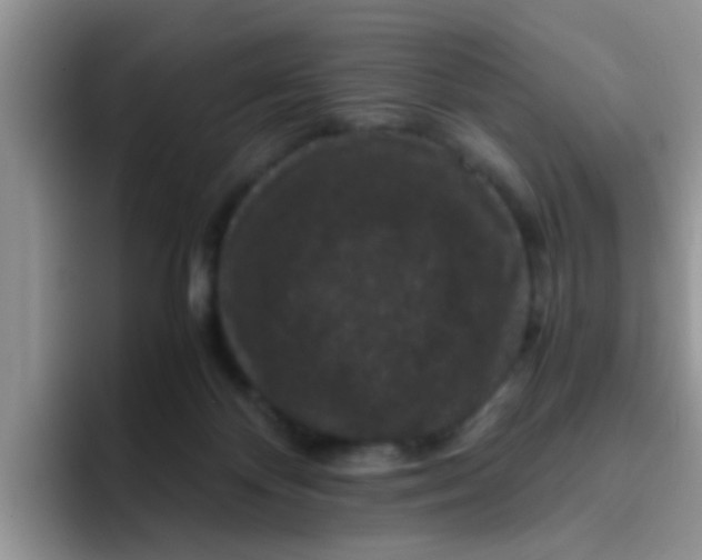 X0000095910124200802081101