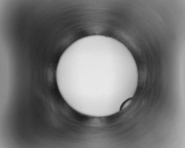 X0000095910126200802081101