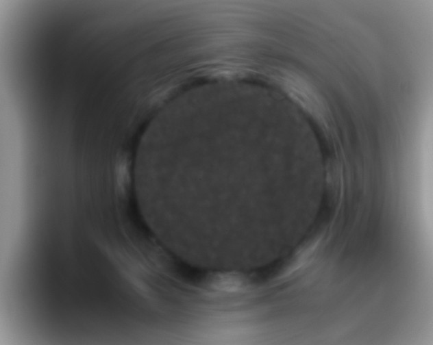 X0000095910127200802081101