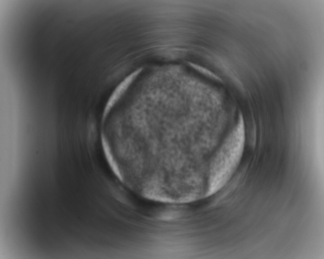 X0000095910128200802081101