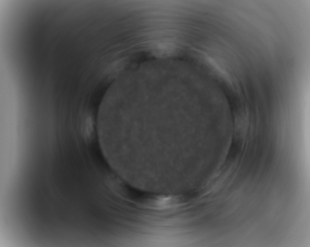 X0000095910130200802081101