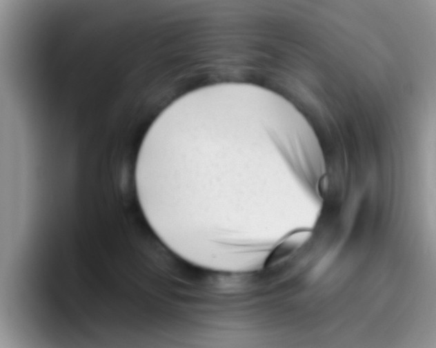 X0000095910134200802081100