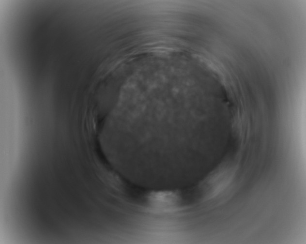 X0000095910137200802081100