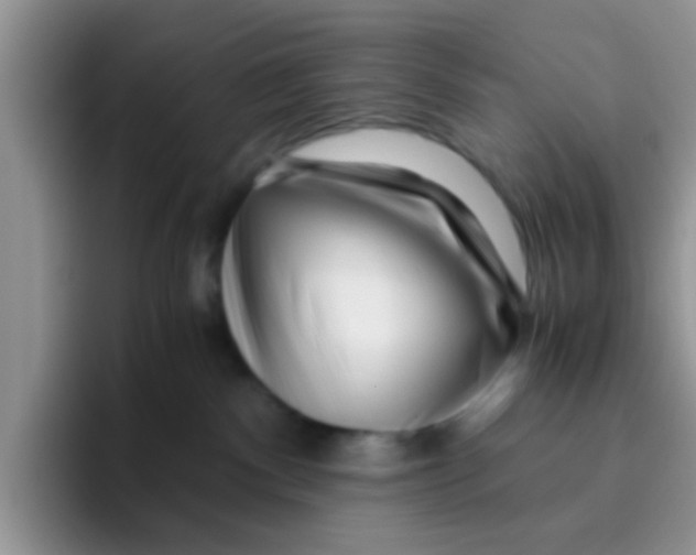 X0000095910140200802081100