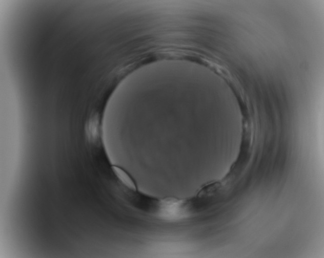 X0000095910143200802081100