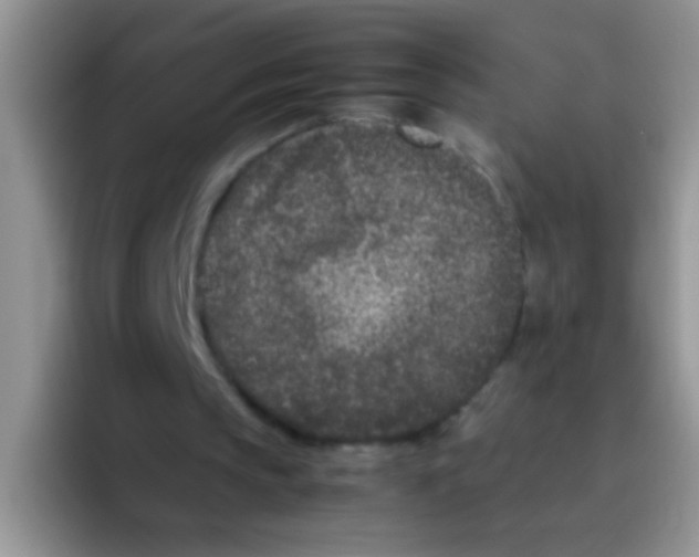 X0000095910145200802081100