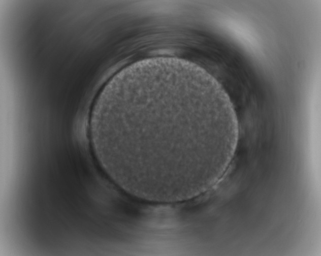 X0000095910146200802081100