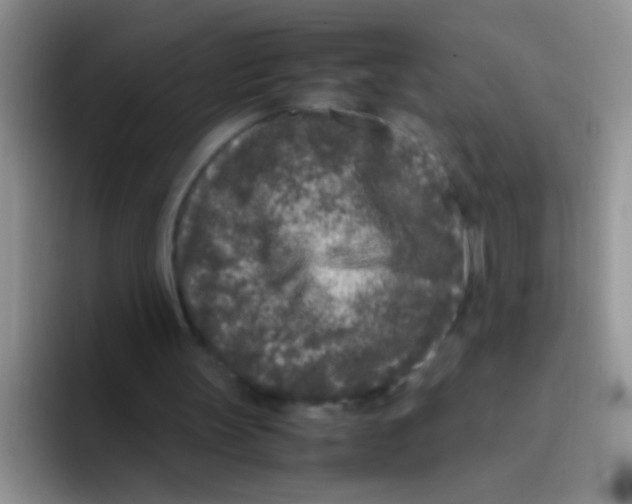 X0000095910147200802081100